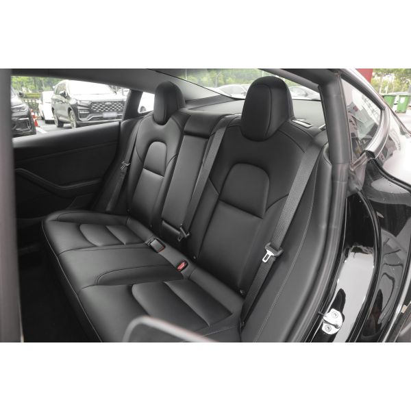 Tesla Model 3 Electric Cars with Max. Power 220kW Overall Mass 1980kg