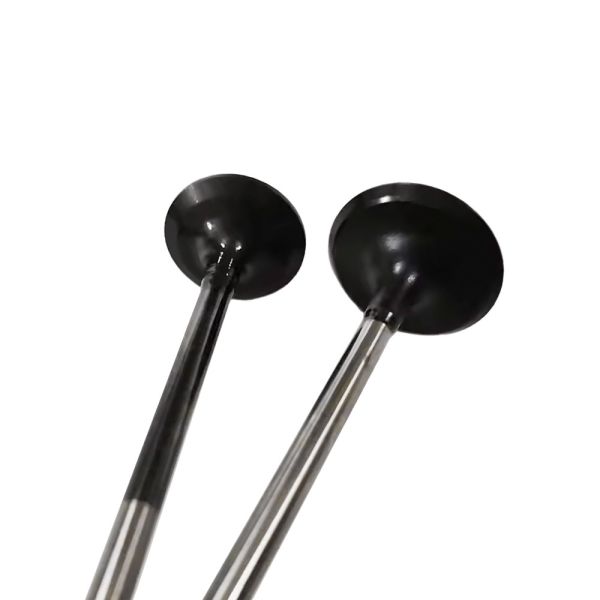 Auto Parts 31422384 Intake Valve B4164Tx For V40 XC40 S60 S80