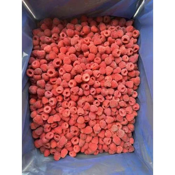 High Quality IQF Frozen Whole Raspberries in Bulk Carton Packed