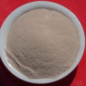 Quality 17.5% Nitrogen 40% Amino Acid Organic Nitrogen Fertilizer for sale