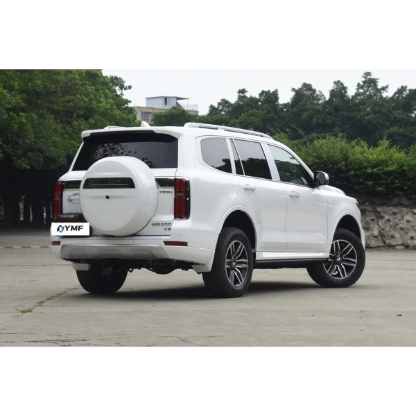 Gwm Tank 500 2024 Edition SUV Multi-function Steering Wheel and ESC for Hybrid Family Travel