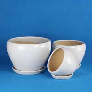 Stunning Plant Display With Our Ceramic Pots Affordable Prices