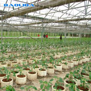 Steel Structure Polythene Tunnel 4 Mil Plastic Sheeting Greenhouse