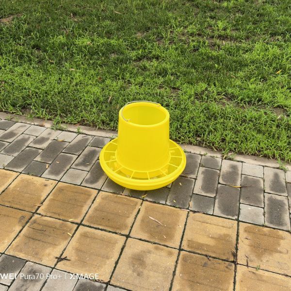Buy 11L Poultry Feeder Large Capacity Ducks Chicken Feed Bucket at wholesale prices