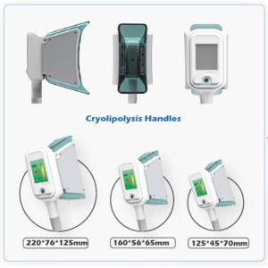 Fat Freezing Cryolipolysis Slimming Machine With Two Handles Work Together