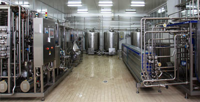 Stainless Steel Drinking Eating Yogurt Production Line With Milk Collection