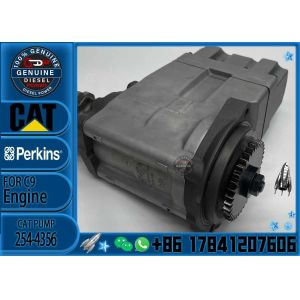 China Diesel engine fuel Pump 295-4777 254-4357 254-4356 for C7 C9 Excavator on sale