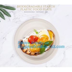 custom printed party plates disposable sugarcane bagasse plate Biodegradable