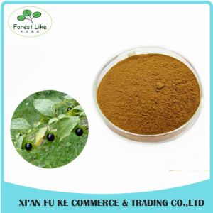 Atropa Belladonna Extract Powder Hyoscyamine 0.7% -1.5%