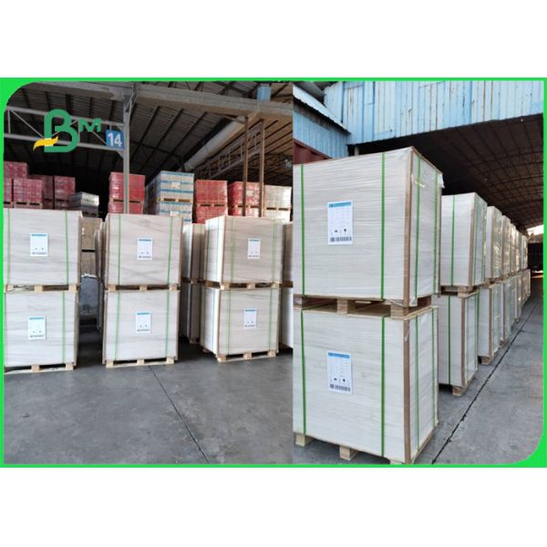 Biodegradable 190gsm 210gsm Cupstock Base Paper For Food bowl 720MM 860MM Biodegradable 190gsm 210gsm Cupstock Base Paper For Food bowl 720MM 860MM