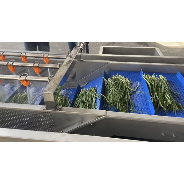Belt Type 2T/H Vegetable Fruit Washing Machine High Pressure Spray Washing Machine