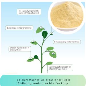 Quality Customized Powder Amino Acid Chelated Multi Elements Ca Mg for sale