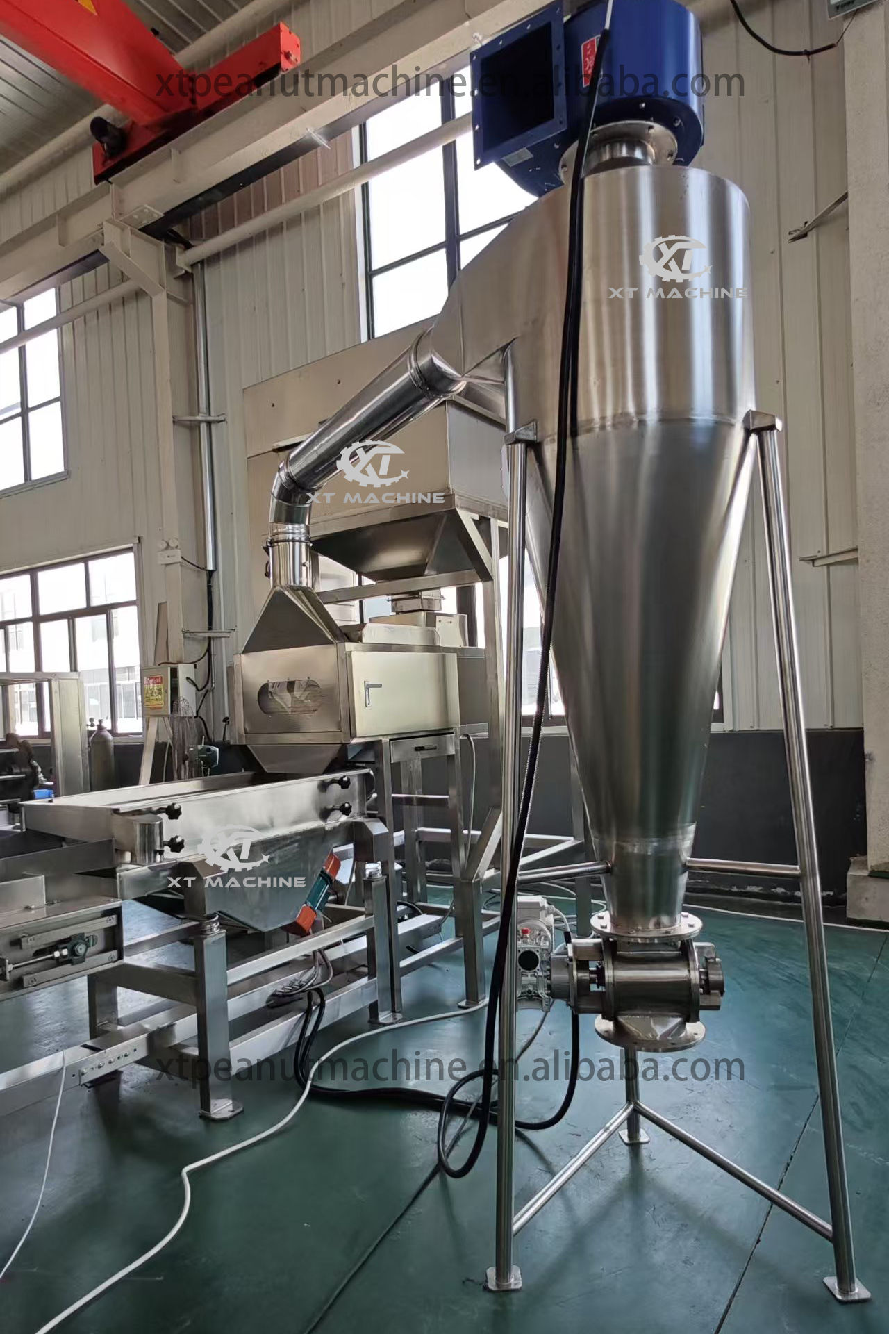 Stainless Steel Fully Auto Split Peanut Blancher Machine SUS304 for Blanching & Splitting Peanuts