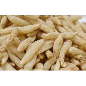 Squill Extract , Sea squill Extract, 10:1 TLC, Chinese Manufacturer,