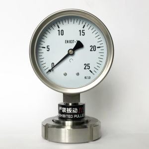 SUS 304 Diaphragm Seal Pressure Gauge DN40 100mm Dial 25 Bar Pressure Gauge