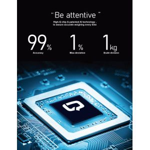 Wireless Digital Forklift Scales forklift mounted scales