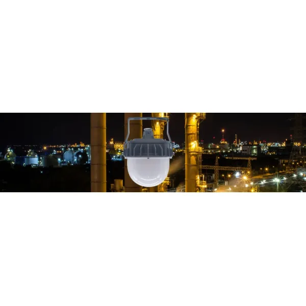 Factory Price Atex Certified High Bay Area Hanging Wall Mounted Atex Oil and Gasoline Harsh Environment 20W Zone 1 Zone 2 LNG Explosion Proof Lamp