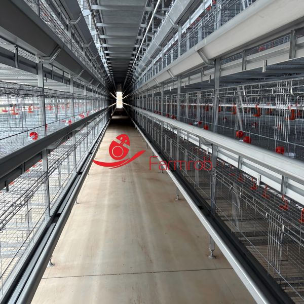 Buy 40000 chicks Poultry Battery Cage System with Integrated Ventilation System at wholesale prices