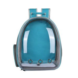 China All-in-One Transparent Cat Space Capsule Pet Travel Backpack Breathable Canvas Dual-Shoulder Design for Easy Outings on sale