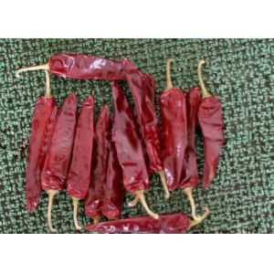 New Crop Premium Dried Guajillo Chili