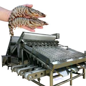 Seafood Shrimp Processing Classifier Automatic Fast Fish Shrimp Size Classifier