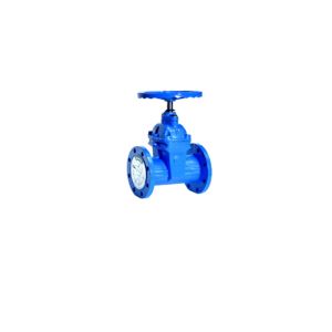 1/2" 12" Flanged End Stainless Steel Gate Valve DN50 Class 150lb Class 1500lb