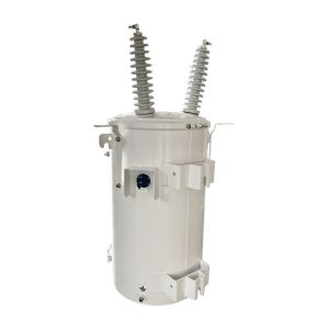 100KVA Single Phase Pole Overhead Distribution Transformer Oil Immersed 34500V