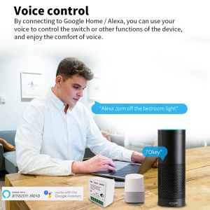 tuya wifi App Timing Home Smart Switch Socket WiFi Smart Switch Interruptor