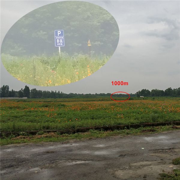 Fully Multi Coated Binocular Telescope 8x40 Green Telescope Dust Proof