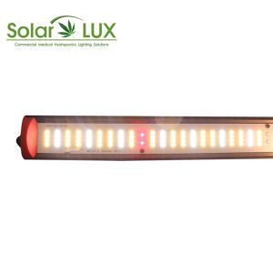 China 100W Samsang LM301B ETL Listed To UL8800 LED Horticultural Bar Light on sale