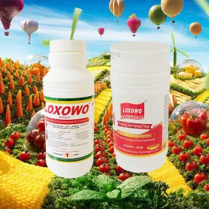 Specialized Manufacturer Root Hydroponic Liquid Plant Fertilizer 6% Npk
