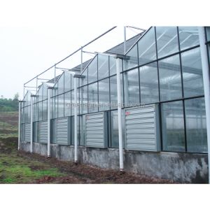 IGREEN Agricultural Venlo Glass Greenhouse to Grow Flowers and Seedlings