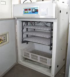 Buy 200PCS Jumbo Poultry Egg Incubator Extruded Sections at wholesale prices