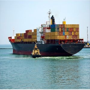 Door To Door International Sea Freight Forwarding DDP From China To Australia