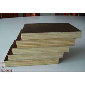 Poplar And Eucalyptus Core Film Faced Plywood For Office Building Construction