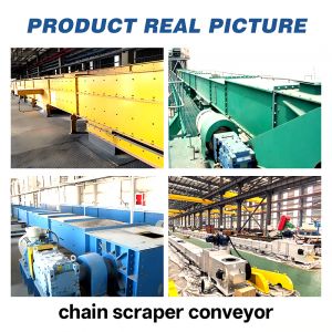 Durable Adjustable Speed Chain Scraper Conveyor Machine for Simple Operation in