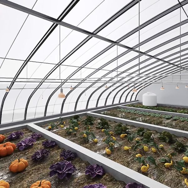 Flower Planting Sparay Irrigation Sunlight Greenhouse