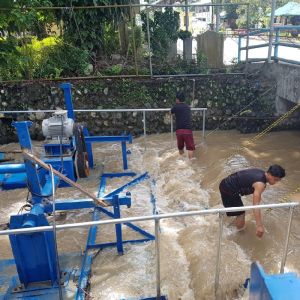 Quality Hydro PMG Construction Permanent Magnet Generator with Longevity in Harsh Environments and Cast Iron Shell for sale