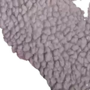 2023 Mid to end Factories Order Polyester Particle Lamb Wool for Lining in