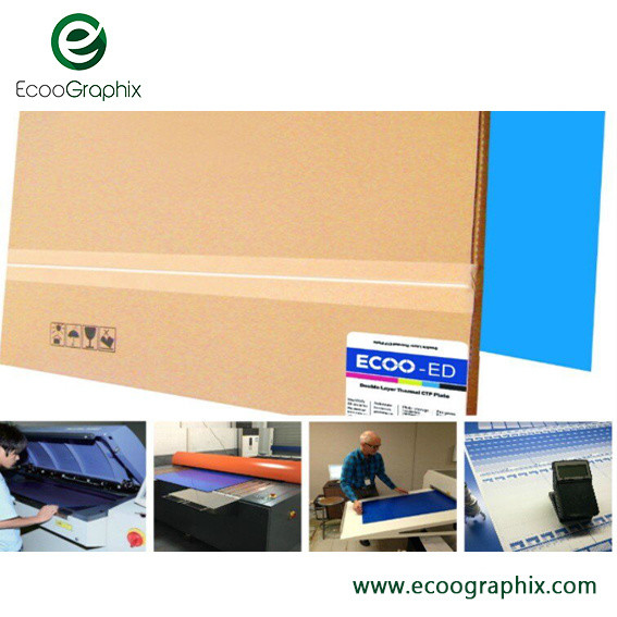 Buy Double Coating Positive Offset CTP Thermal Plate FM Screening at wholesale prices