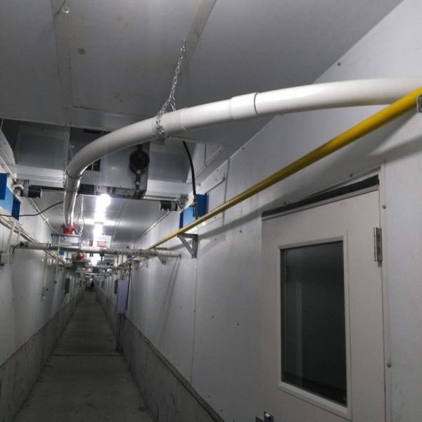 Automatic Piggery Farm Equipment 45mm Dia Disc Chain Feeding Hog Barn Supplies