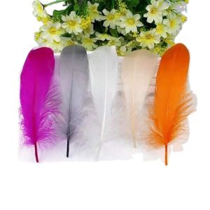 4-6 Inch Loose Goose Feathers , Colorful Feathers For Carnival Decoration