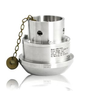 10000psi Hammer Union Pressure Sensor