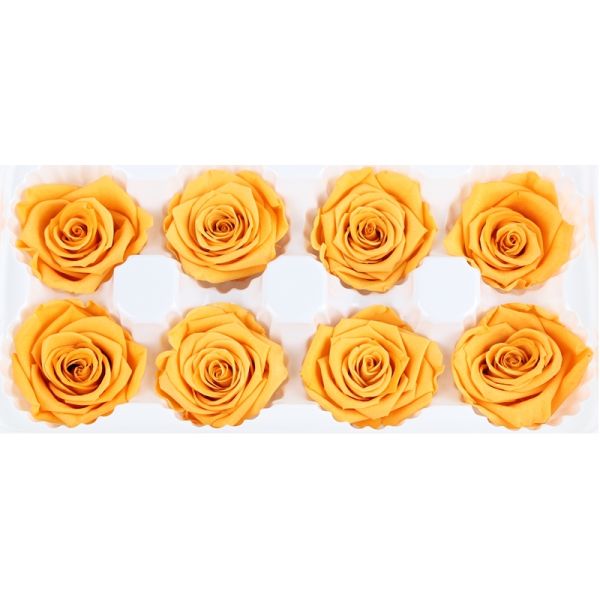 Decorative Fresh Cut Yellow Preserved Roses 2-3 Cm