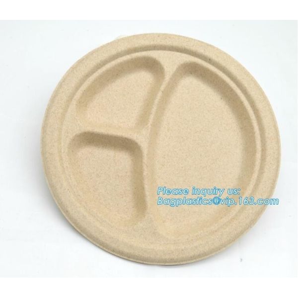 Buy Biodegradable plate food grade green sugarcane bagasse plate,10" sugarcane ecofriendly disposable oval plate bagease pac at wholesale prices