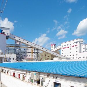 Sandwich Panel Prefabricated Metal Buildings