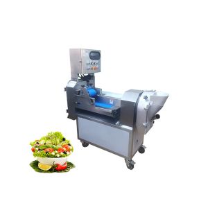 TJ-301 Commercial Multi-function Dual Head Vegetable And Fruit Cutter For Leafy