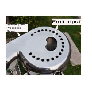 Commercial Vegetable and Fruit Juice Extractor With Stainless Steel Blade For