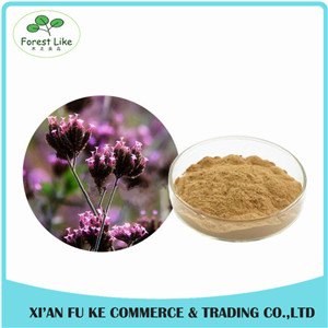 Competitive Price Natural Chinese Herb European Verbena Extract /Blue Vervain