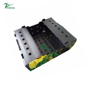Potato Cabbage Corrugated Plastic Packaging Boxes Hollow Structure